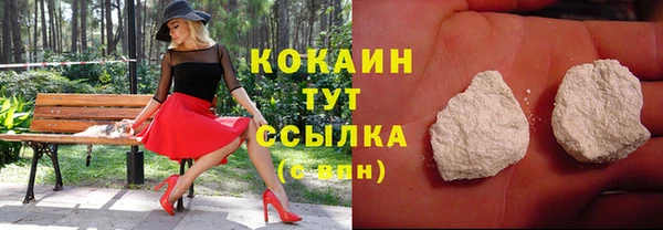 соль ск Алзамай